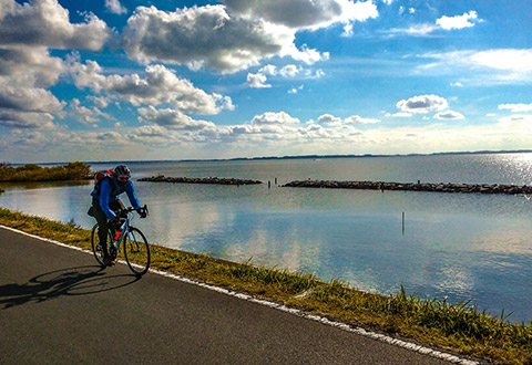 つくばりんりんロードのイメージ画像